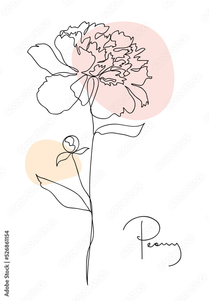 Beautiful peony flower. Line art concept design. Continuous line drawing. Stylized flower symbol. Vector illustration in black and pastel color Beautiful peony flower. Line art concept design. Continuous line drawing. Stylized flower symbol. Vector illustration in black and pastel color