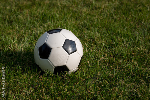 Soccer Ball on a grass lawn © Craig
