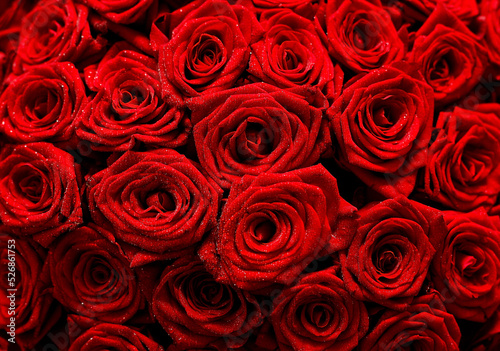Bright red roses. Fresh flowers for the holidays. 