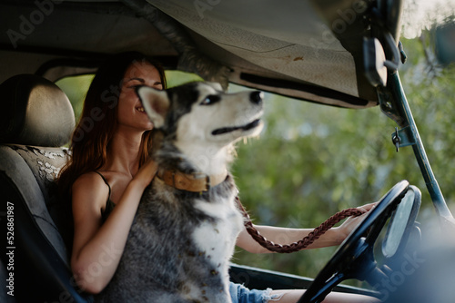 A woman rides in a car with her husky dog       and smiles while traveling by car to nature in the forest in summer. Lifestyle on the road by car with a dog