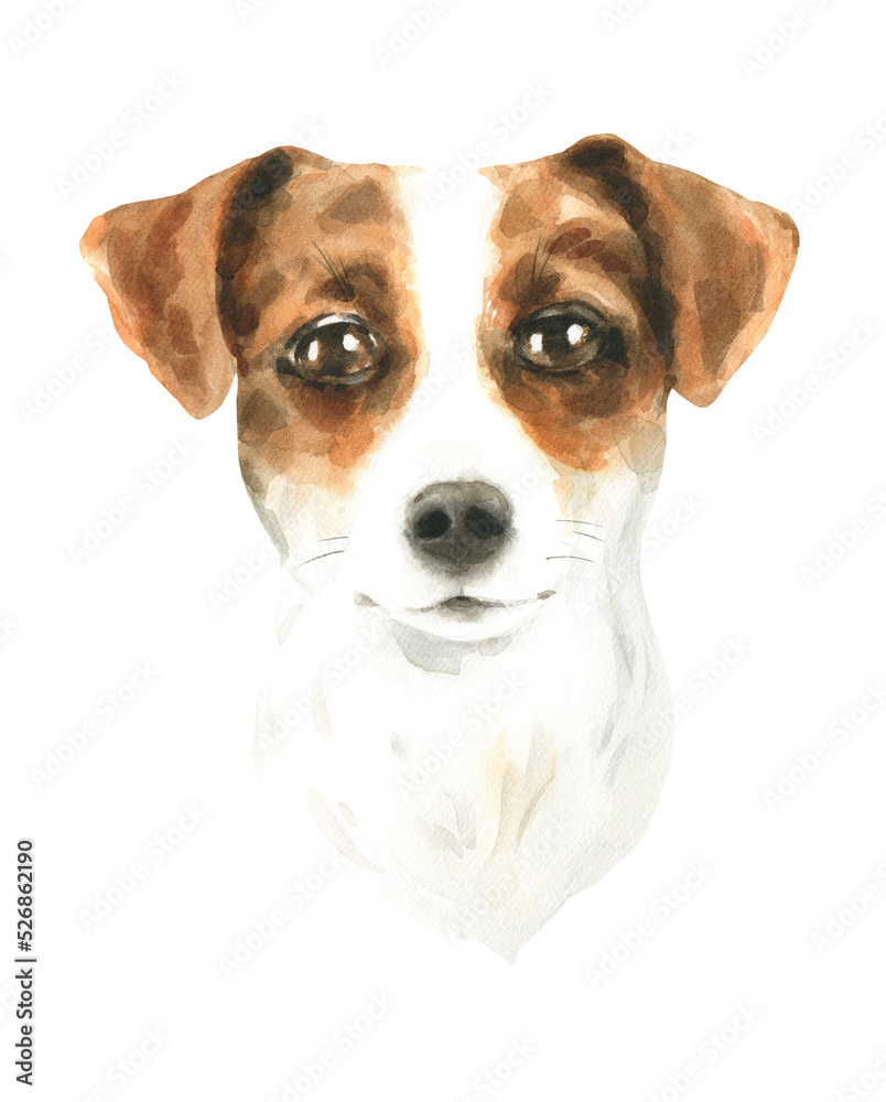 Watercolor dog breed cute Jack Russel realistic illustration, dog head,detailed face hipster portrait,dog in funny hat, puppy fashion print, cute baby dog isolated on white background printable diy