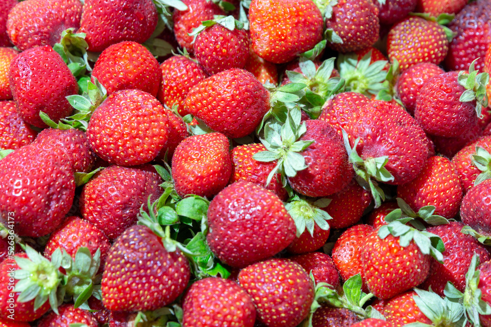 background from freshly harvested strawberries.