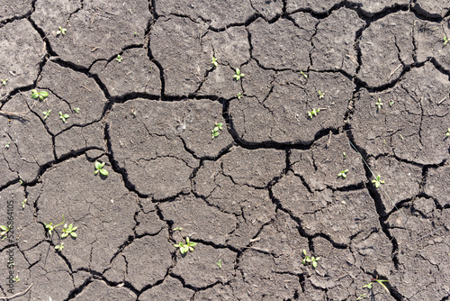 The soil in the desert with cracked by drought