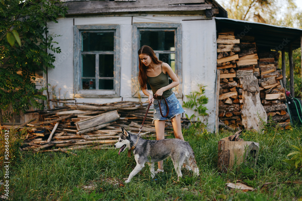A woman walks near an old house in the village with her husky dog ​​in summer and looks at the sunset. Life style friends animals and people