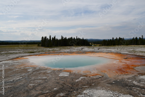 Yellow stone national park