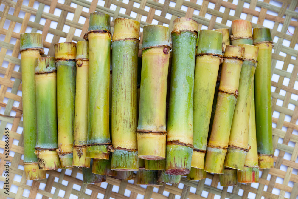 Sugar cane on bamboo weave background. Sugar cane on bamboo weave background.