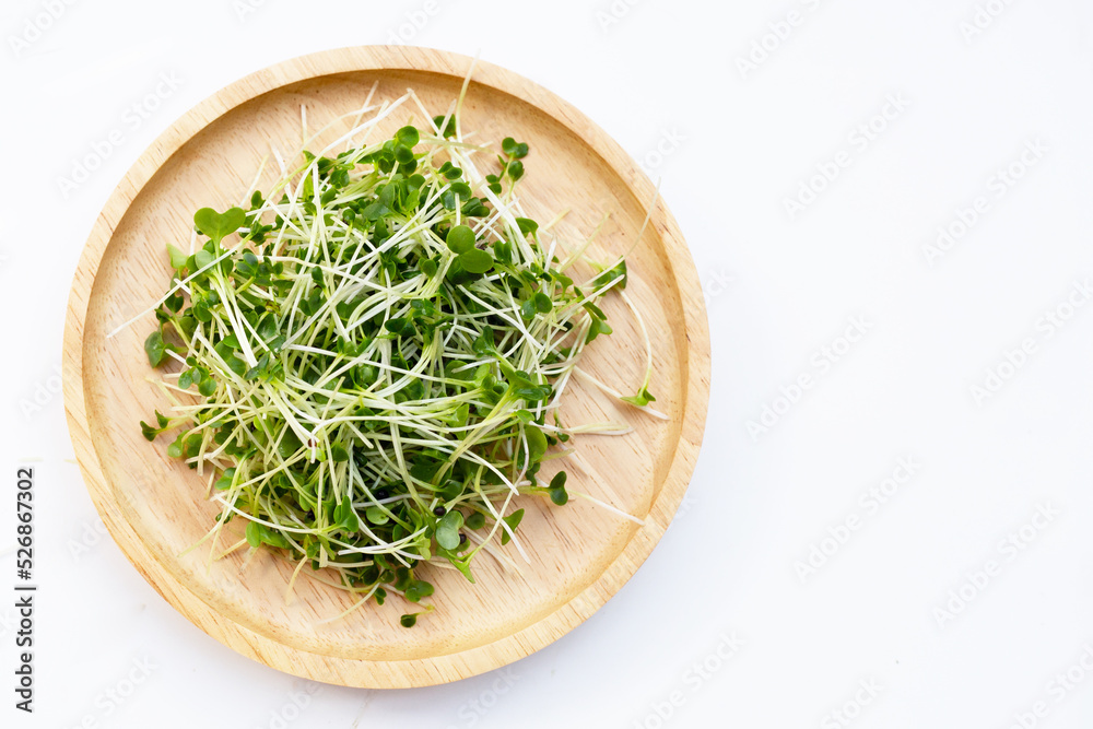 Organic kale sprouts. Healthiest vegetables concept Organic kale sprouts. Healthiest vegetables concept