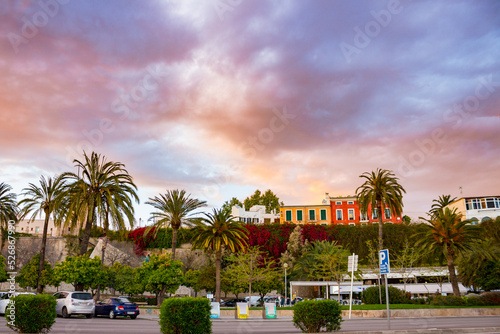 Colorful nature and sky in Palma de Mallorca  Spain