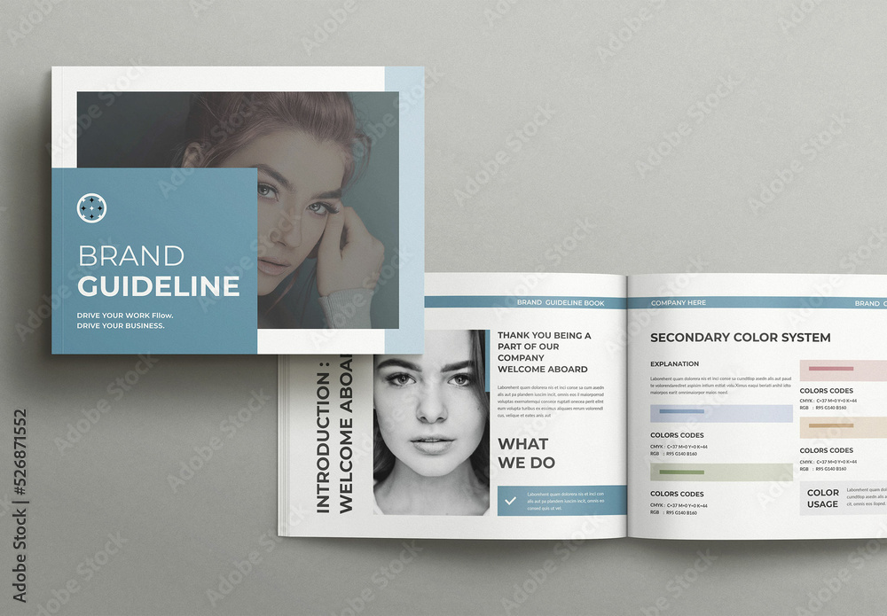 Brand Manual Landscape Layout Stock Template | Adobe Stock