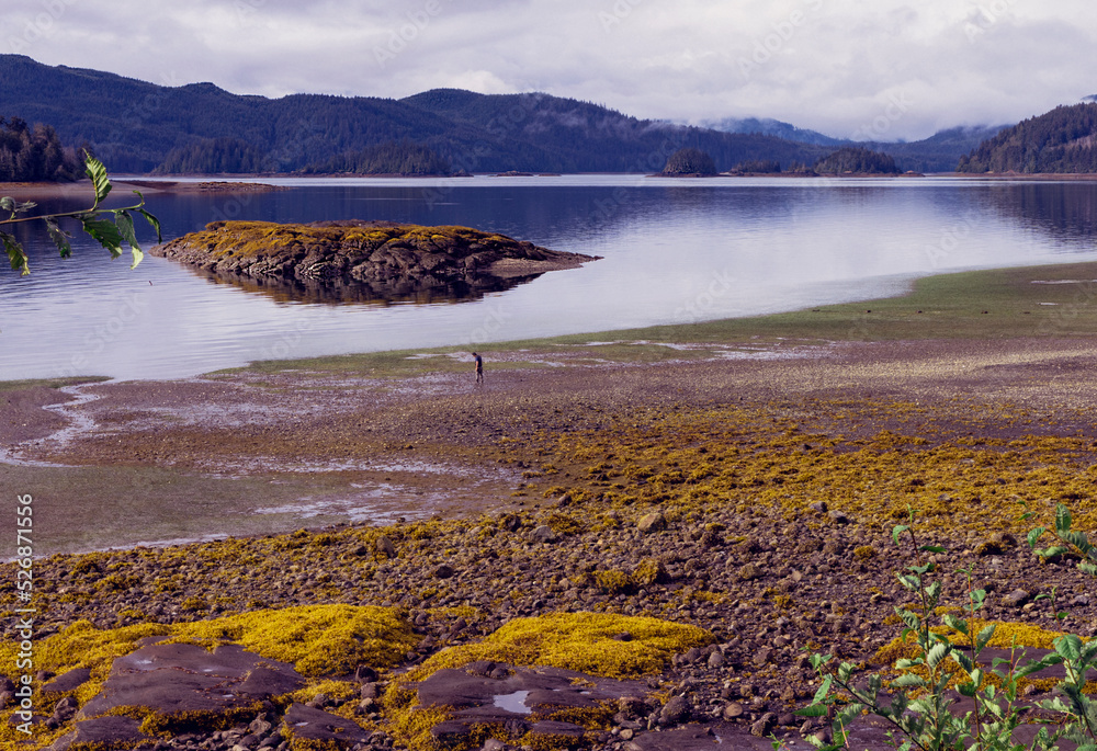 Solitary, rocky island at low tide at pebble beach on a cloudy summer day on the West coast of BC, Canada, with mountainous coast in background.