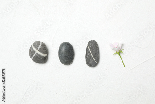 Spa stones and fresia flower on white table, flat lay