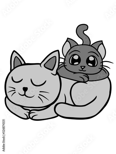 Freunde 2 Katzen aufeinander 