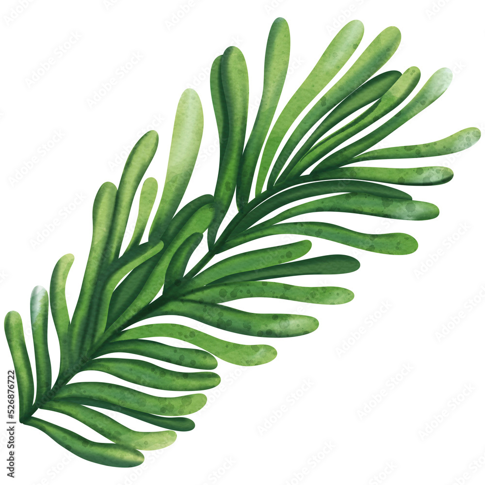 Fototapeta premium Christmas Pine leaf, Digital paint watercolor illustration