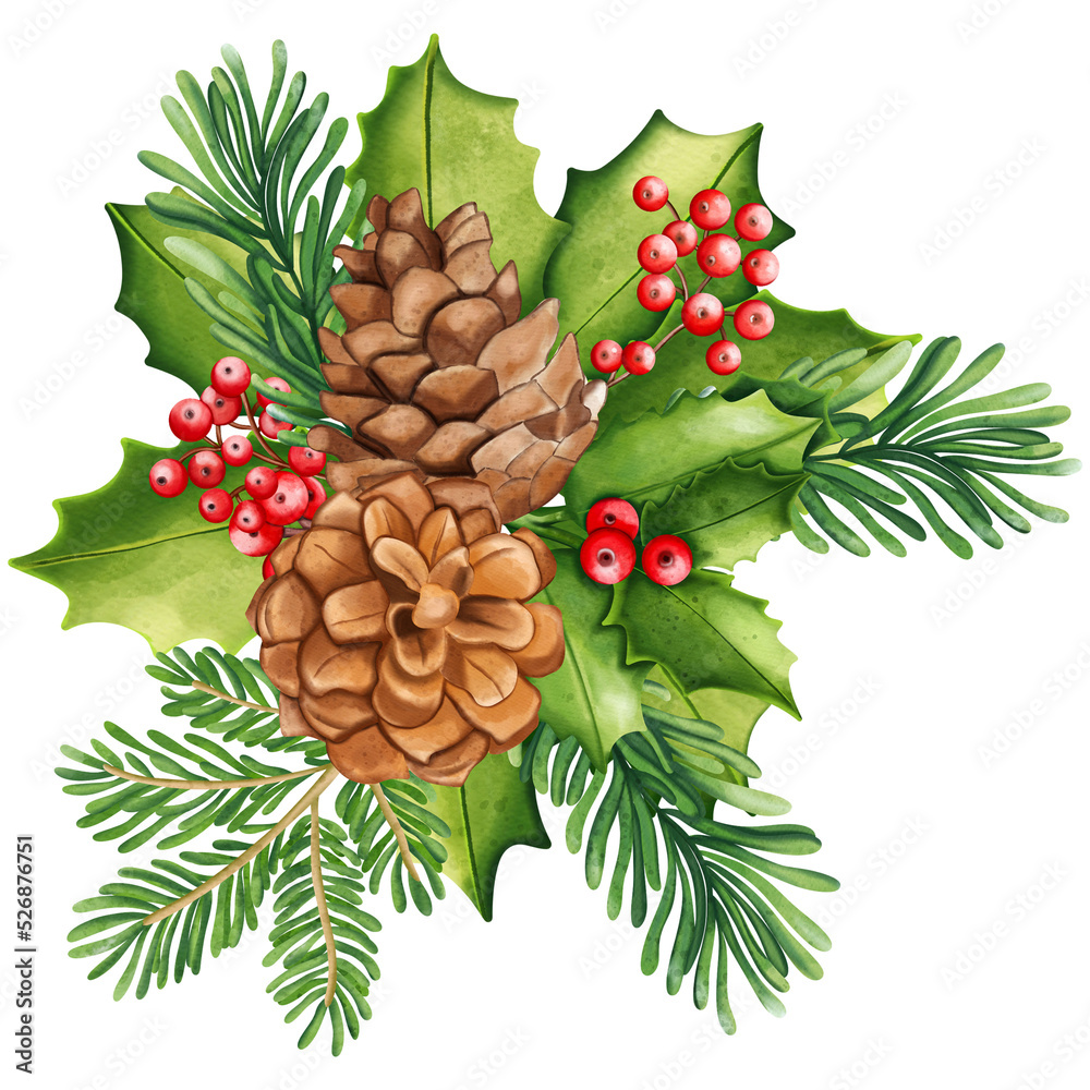 Christmas Holly, pine cone set, Watercolor illustration Christmas Holly, pine cone set, Watercolor illustration