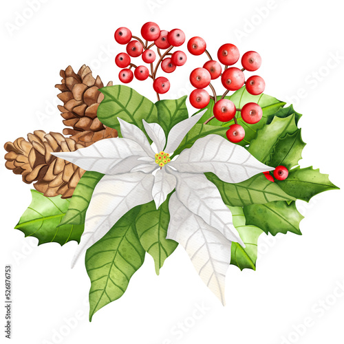 Fototapeta Naklejka Na Ścianę i Meble -  Watercolor Christmas Poinsettia, holly, pine cone set, Digital paint watercolor illustration
