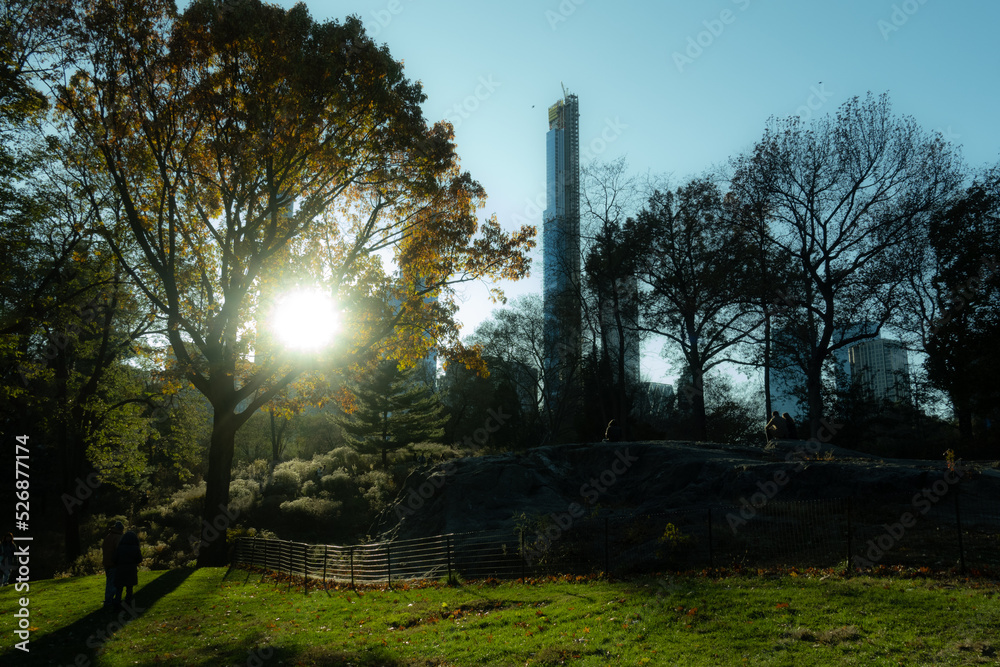 Obraz premium sunset in the park