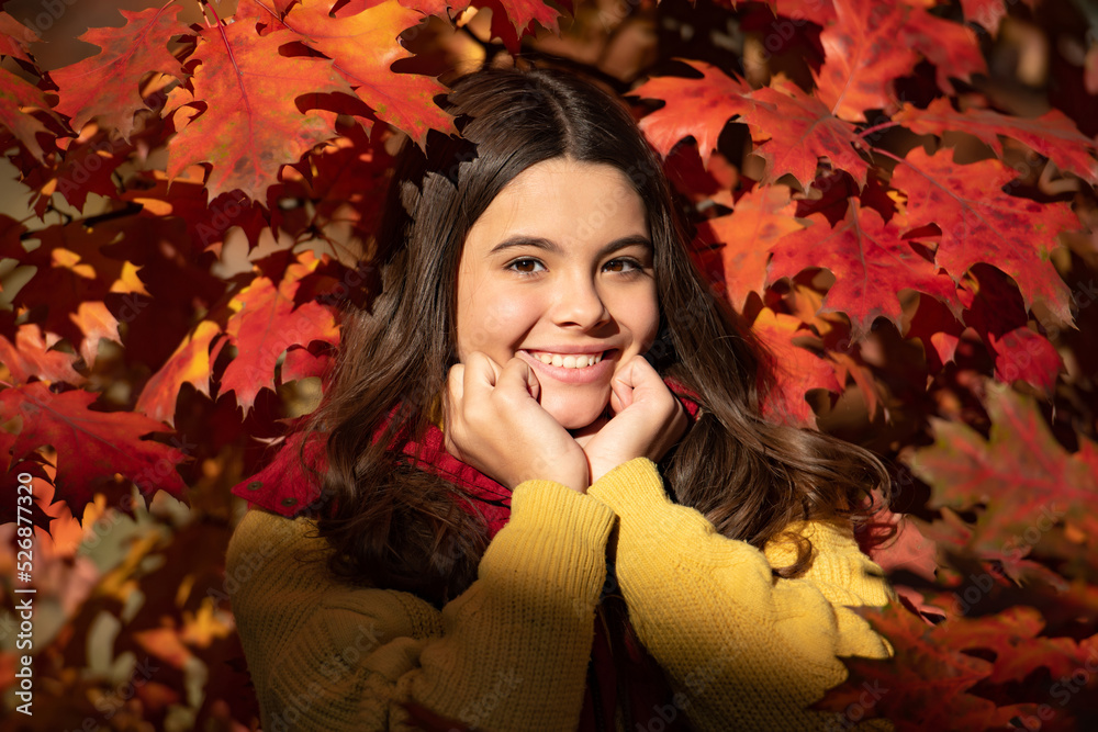 cheerful child standing at beautiful autumn leaves cheerful child standing at beautiful autumn leaves