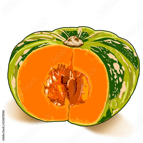Calabaza naranja cortada con semillas a la vista en fondo blanco. Calabaza o auyama ilustración digital.  photo