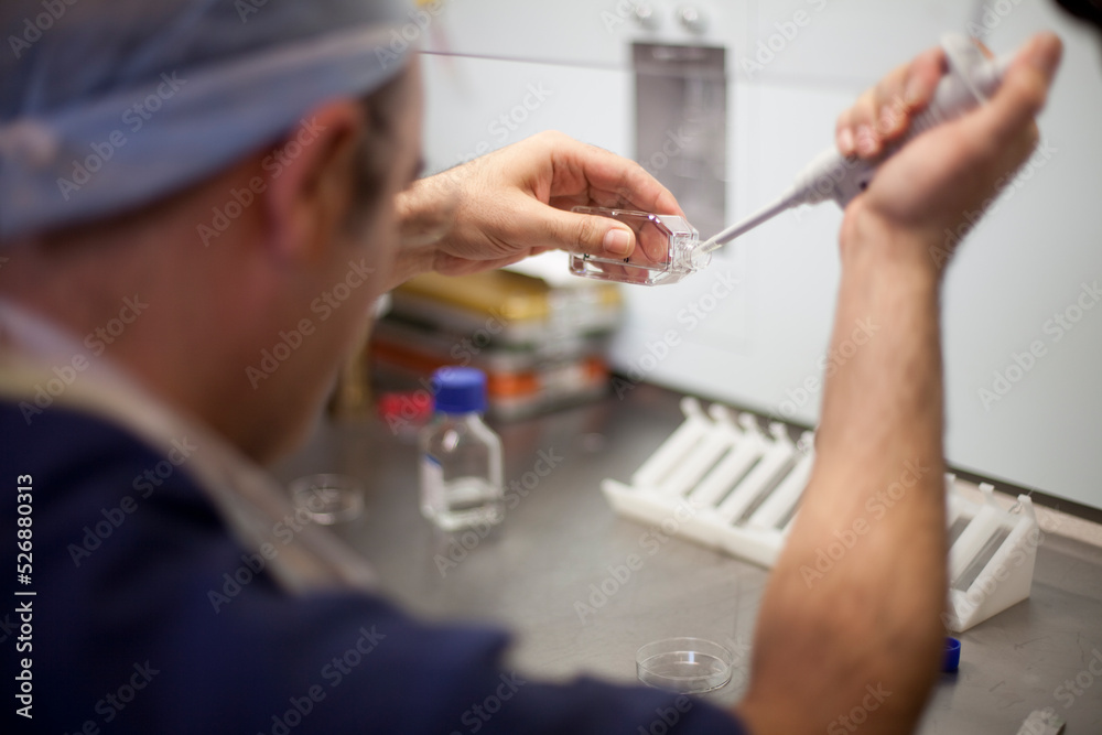 Sperm and Eggs Samples - ivf - in vitro fertilization, egg freezing or working with Micro Pipette vaccine, treatment or medicine research. IVF laboratory embryo biotechnology fertility treatment Sperm and Eggs Samples - ivf - in vitro fertilization, egg freezing or working with Micro Pipette vaccine, treatment or medicine research. IVF laboratory embryo biotechnology fertility treatment
