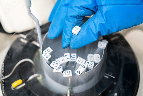 Embryologists a Liquid Nitrogen Bank Containing Sperm and Eggs Samples. ivf  in vitro fertilization, egg freezing. Sperm cryopreservation. Sperm freezing. photo