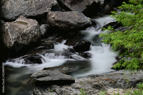 Neidong National Forest Recreation Area is located in Wulai, Taipei. It has the best conserved ecology in northern Taipei. The magnificent mountainous scenery and canyons are connected with Wulai.