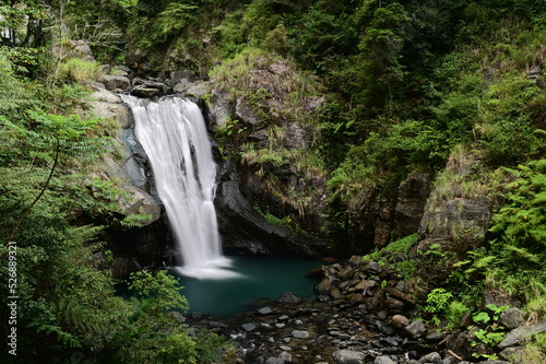 Neidong National Forest Recreation Area is located in Wulai  Taipei. It has the best conserved ecology in northern Taipei. The magnificent mountainous scenery and canyons are connected with Wulai.