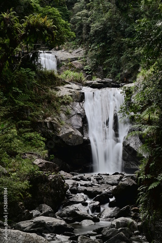 Neidong National Forest Recreation Area is located in Wulai, Taipei. It has the best conserved ecology in northern Taipei. The magnificent mountainous scenery and canyons are connected with Wulai.