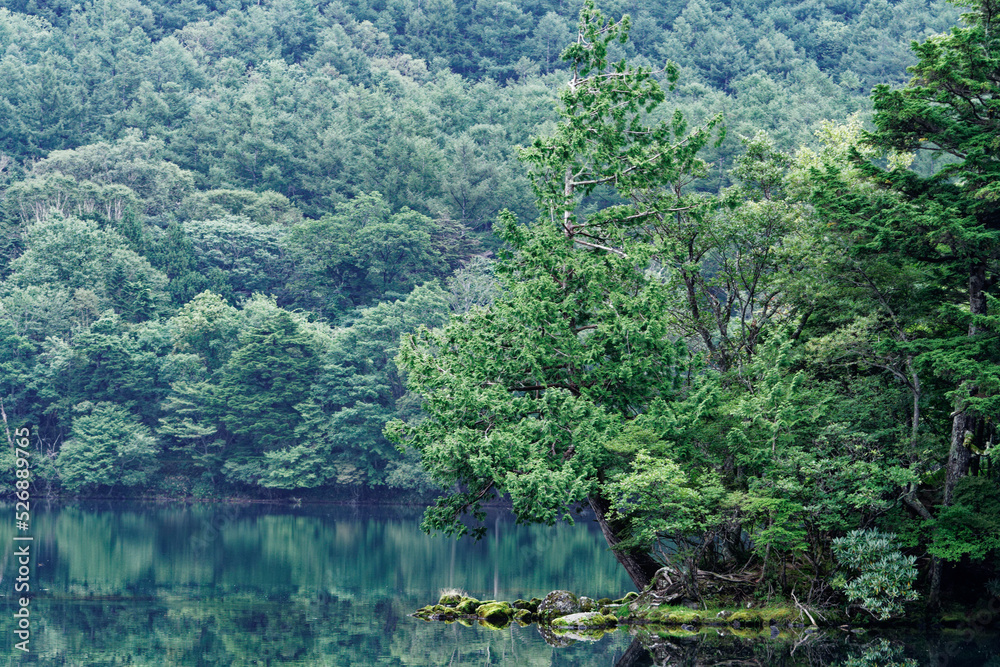 静けさが支配していた朝の湯の湖 静けさが支配していた朝の湯の湖