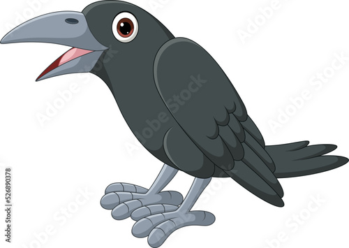 Cartoon crow isolated on white background