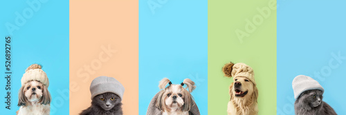 Set of cute animals in warm...