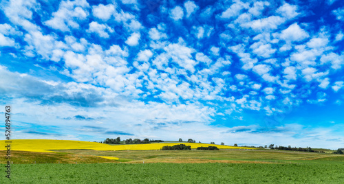 Canadian prairies scene with distant mustard seed fields under a dramatic sky in Rocky View County Alberta