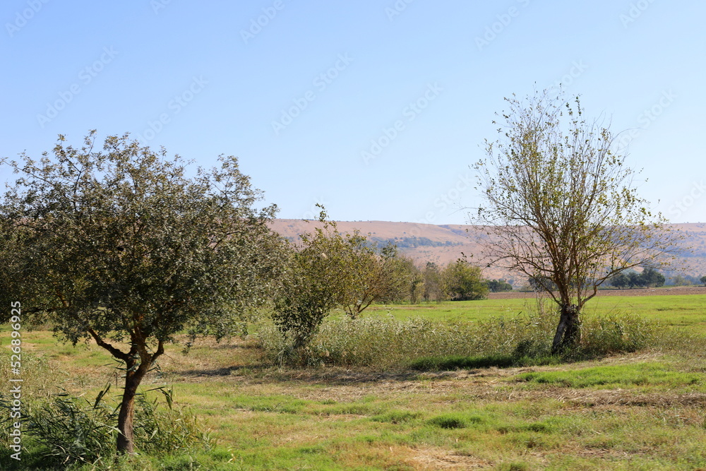 Landscape in the mountains in northern Israel. Landscape in the mountains in northern Israel.