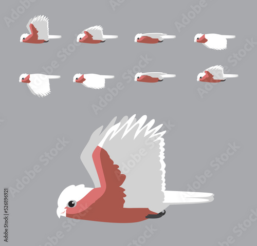 Galah Cockatoo Flying Animation Sequence Cartoon Vector
 photo