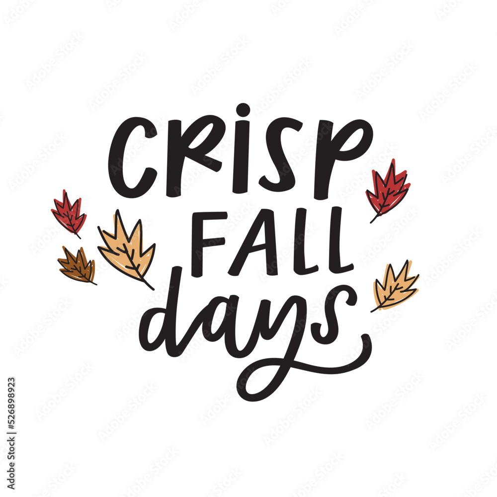 Crisp Cozy Fall Days Crisp Cozy Fall Days
