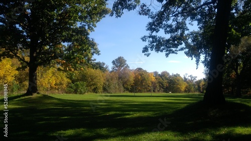 autumn in the park