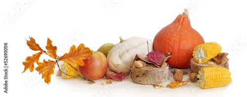 group of colorful autumnal vegetables and fruits with oak leaves on white bac...
