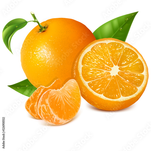 oranges with leaves isolated