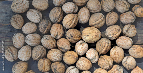 top view on walnuts in their shell spread on a plank