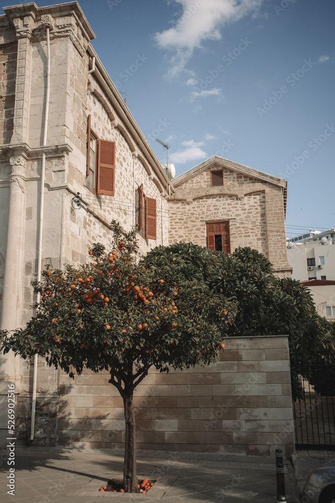 Tangerine tree at square with ancient building of Saint Joseph Maronite Church