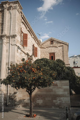 Tangerine tree at square with ancient building of Saint Joseph Maronite Church