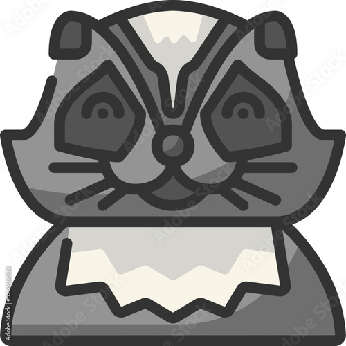 racoon