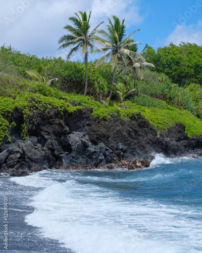 Black sand beach with palm trees at Wainapanapa State Park on Maui, Hawaii