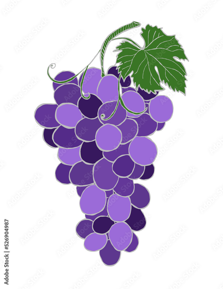 bunch of grapes illustration png bunch of grapes illustration png
