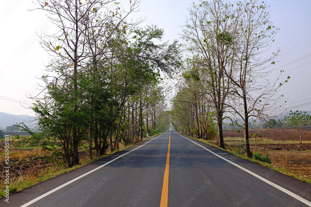 Empty asphalt rural road through the dried field.