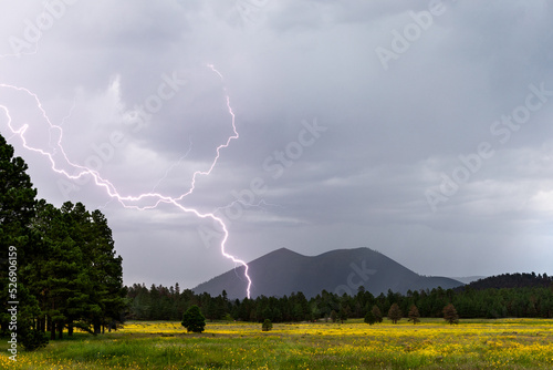 Lightning strike from a thunderstorm at Sunset Crater
