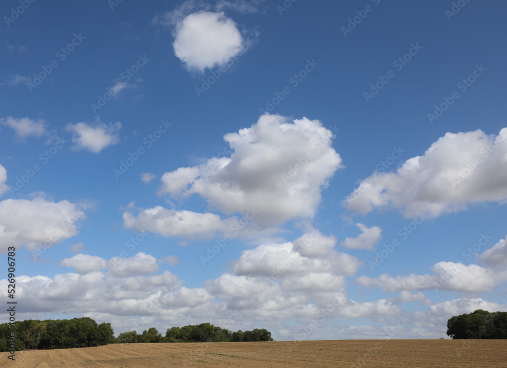 landscape of the plain with white clouds the land parched due to drought landscape of the plain with white clouds the land parched due to drought