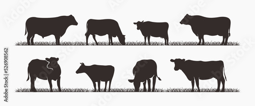 Silhouette cow livestock collection. perfect for design elements. vector illustration photo