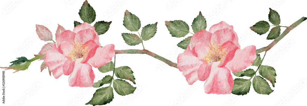 watercolor blooming rose branch flower bouquet devider