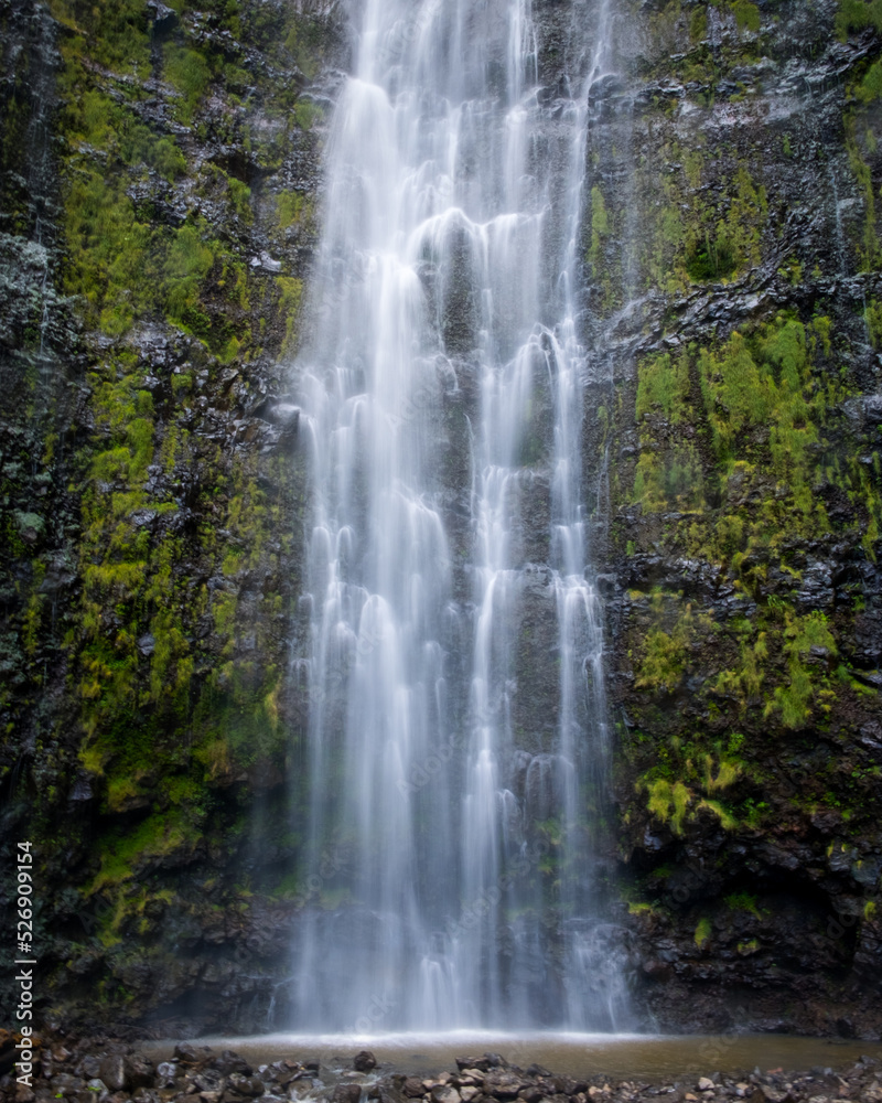 Waimoku Falls Waterfall in the rainforest, Haleakala National Park, Maui Hawaii