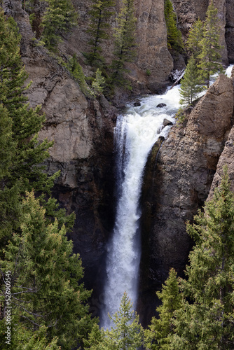 Waterfall and Trees in the American Landscape. Tower Fall in Yellowstone National Park, Wyoming. United States. Nature Background.